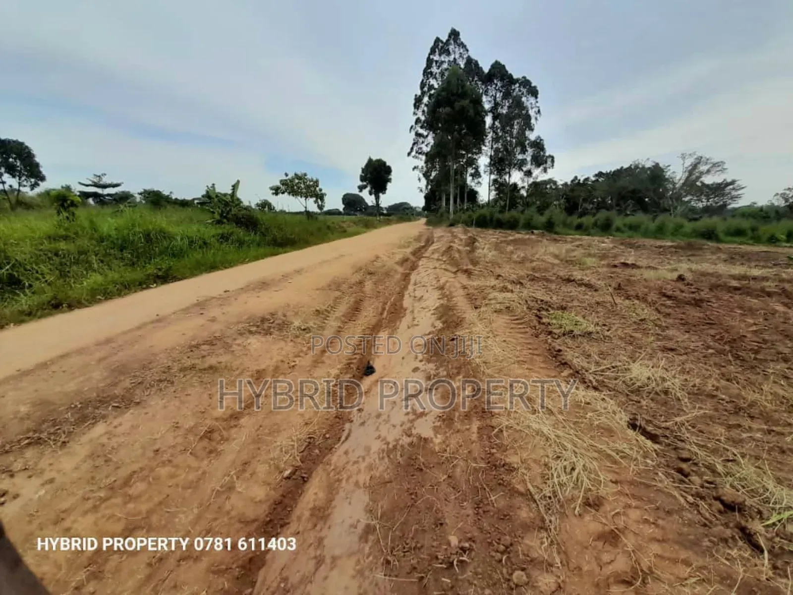 Prime Plots For Sale In Kasanga~Namayumba Town Land Estate V