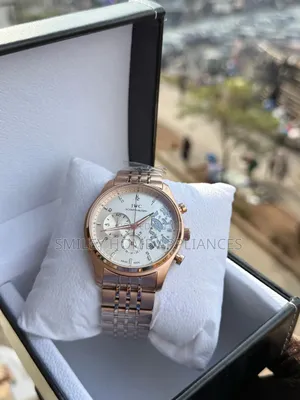 Iwc Schaffhausen Men's Fashionable Watch Silver Brown