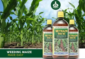 A Box of Metrazin Selective Herbicides for Maize. 1l×10