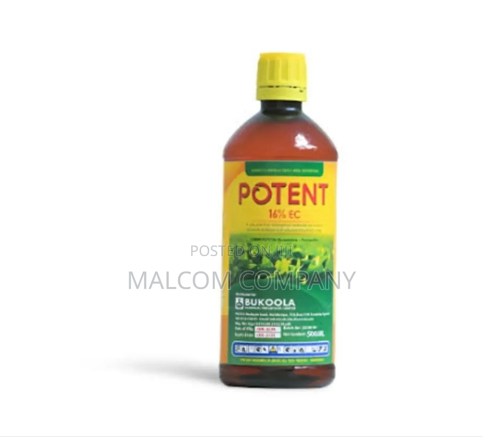 Potent for Weeding in Beans