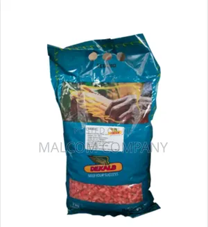 Dk 80-31 Hybrid Maize Seeds 20kg