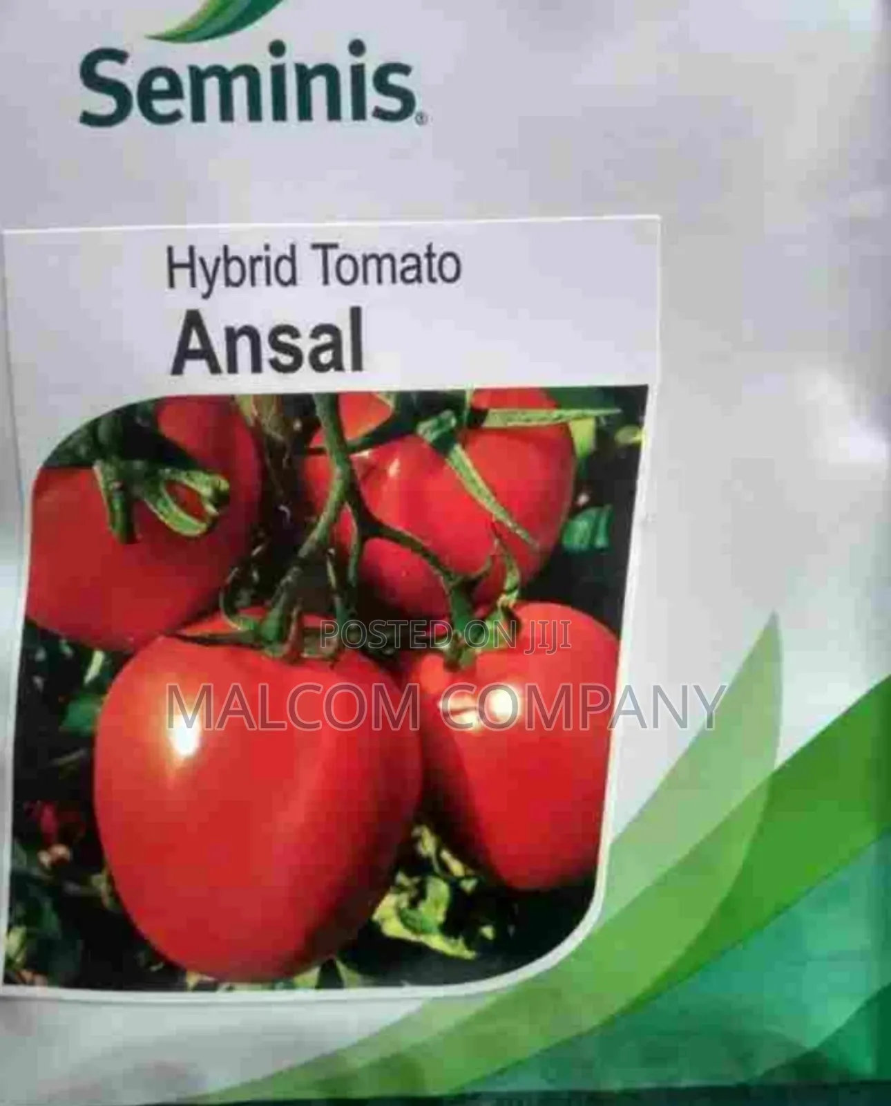 Ansal F1 Hybrid Tomato 2500 Seeds