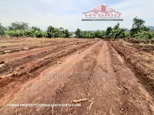 Prime Plots for Sale at Gobero~Muguluka Divine Land Estate I