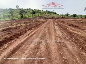 Prime Plots for Sale at Gobero~Muguluka Divine Land Estate I