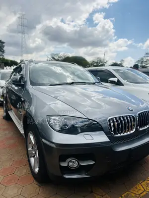 BMW X6 xDrive30d 2011 Gray