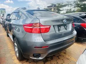 BMW X6 xDrive30d 2011 Gray