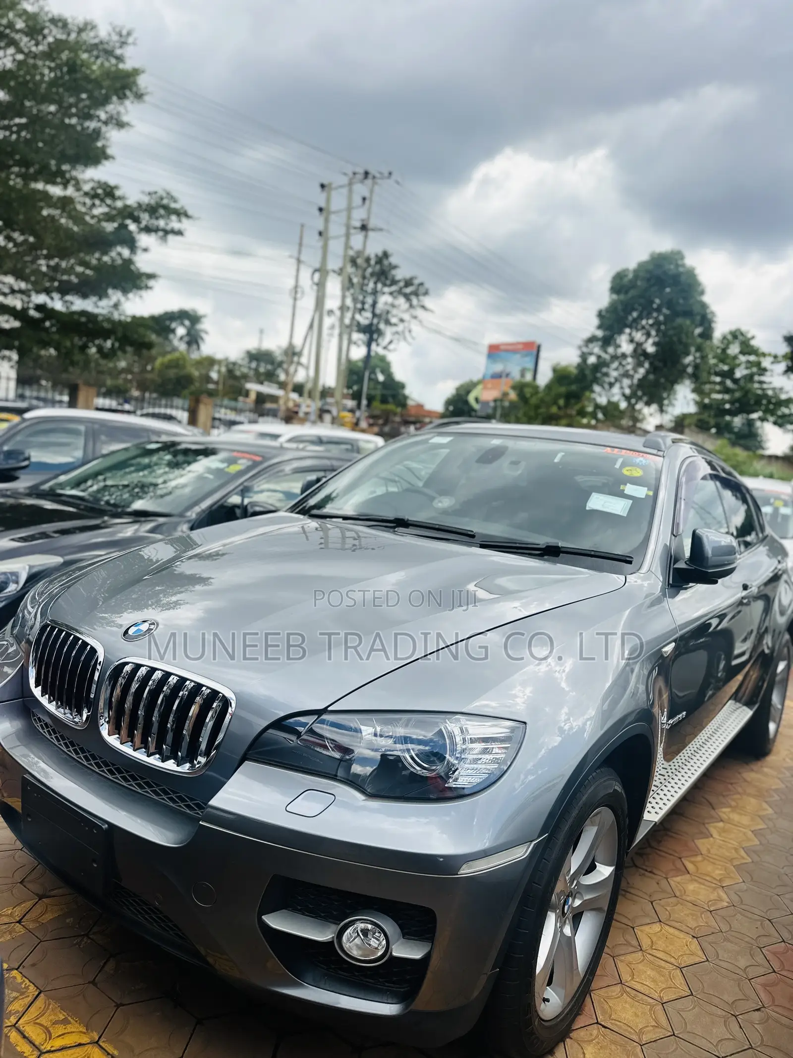 BMW X6 xDrive30d 2011 Gray