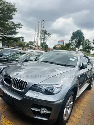 BMW X6 xDrive30d 2011 Gray