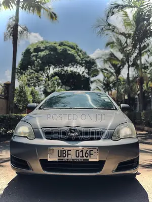 Toyota Allex 2006 Gray