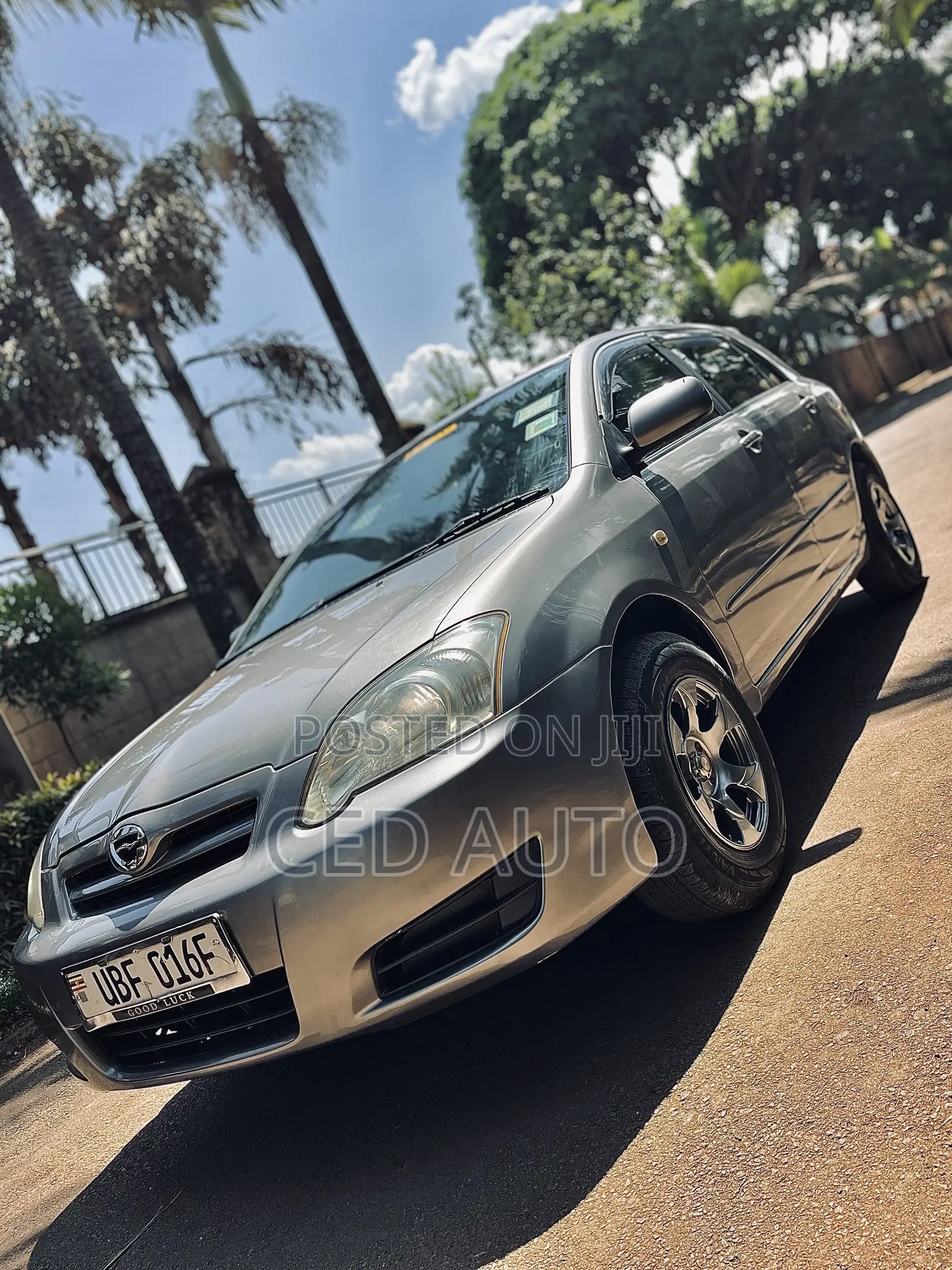 Toyota Allex 2006 Gray