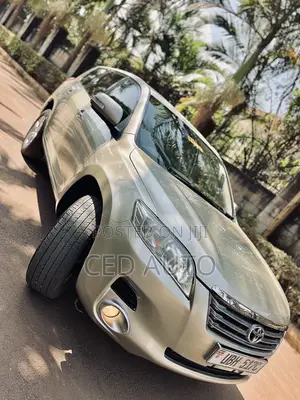 Toyota Vanguard 2008 Gold