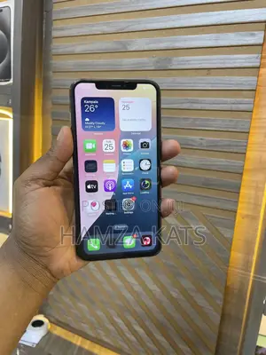 Apple iPhone 11 Pro Max 64 GB Black