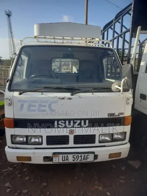 Photo - Truck Isuzu Long