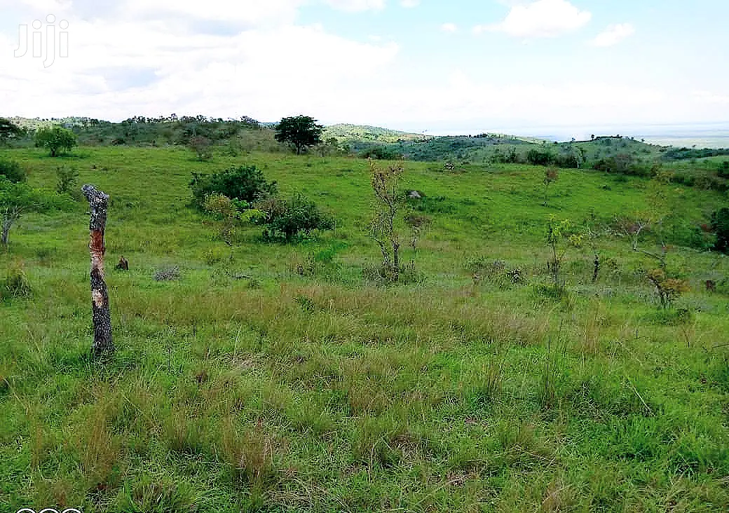 49 Acres of Land for Sale in Kitagwenda District
