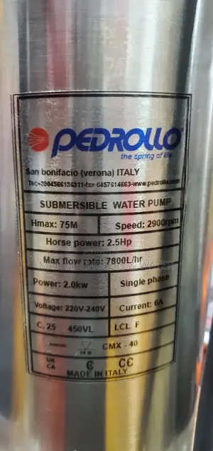 Pedrollo Submersible Water Pump