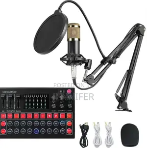 Professional Studio Condenser Microphone
