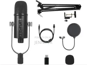 Studio Condenser Microphone