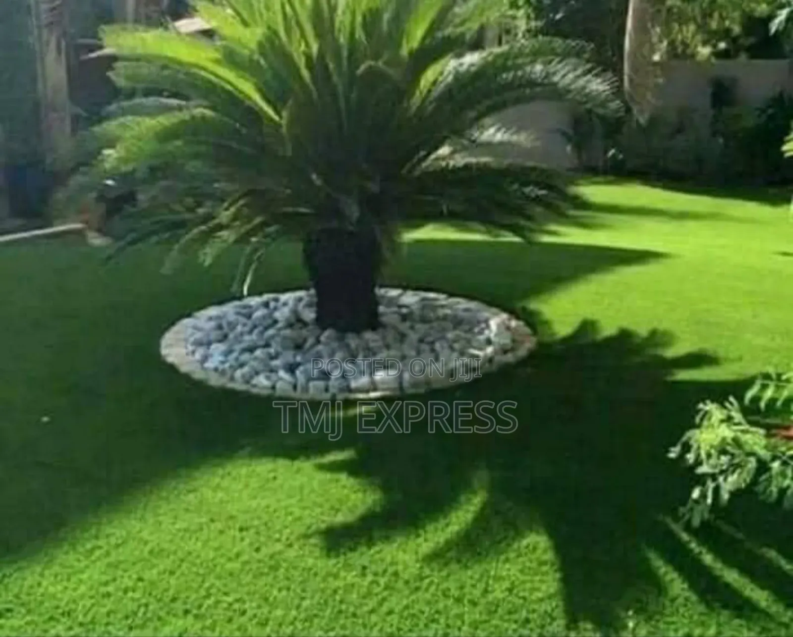 Hybrid Natural Carpet Grass-50kg Sack