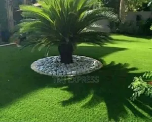 Hybrid Natural Carpet Grass-50kg Sack