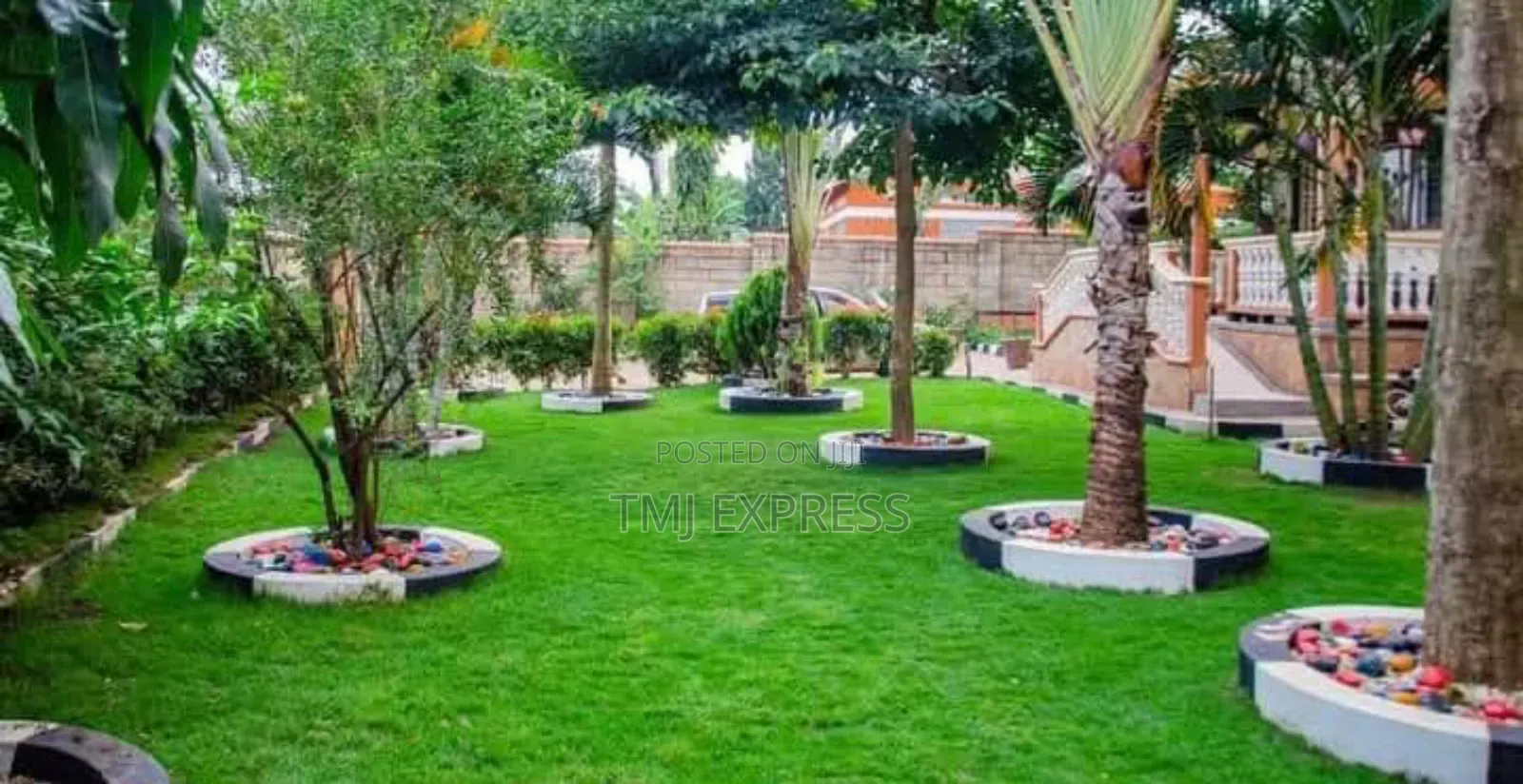 Hybrid Natural Carpet Grass-50kg Sack