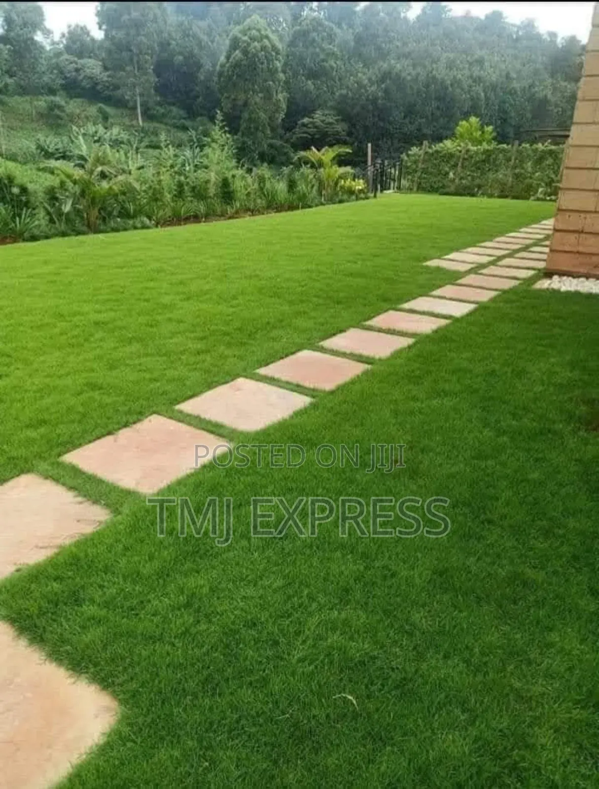 Hybrid Natural Carpet Grass-50kg Sack