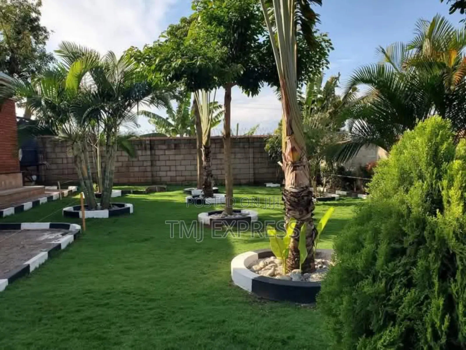 Hybrid Natural Carpet Grass-50kg Sack