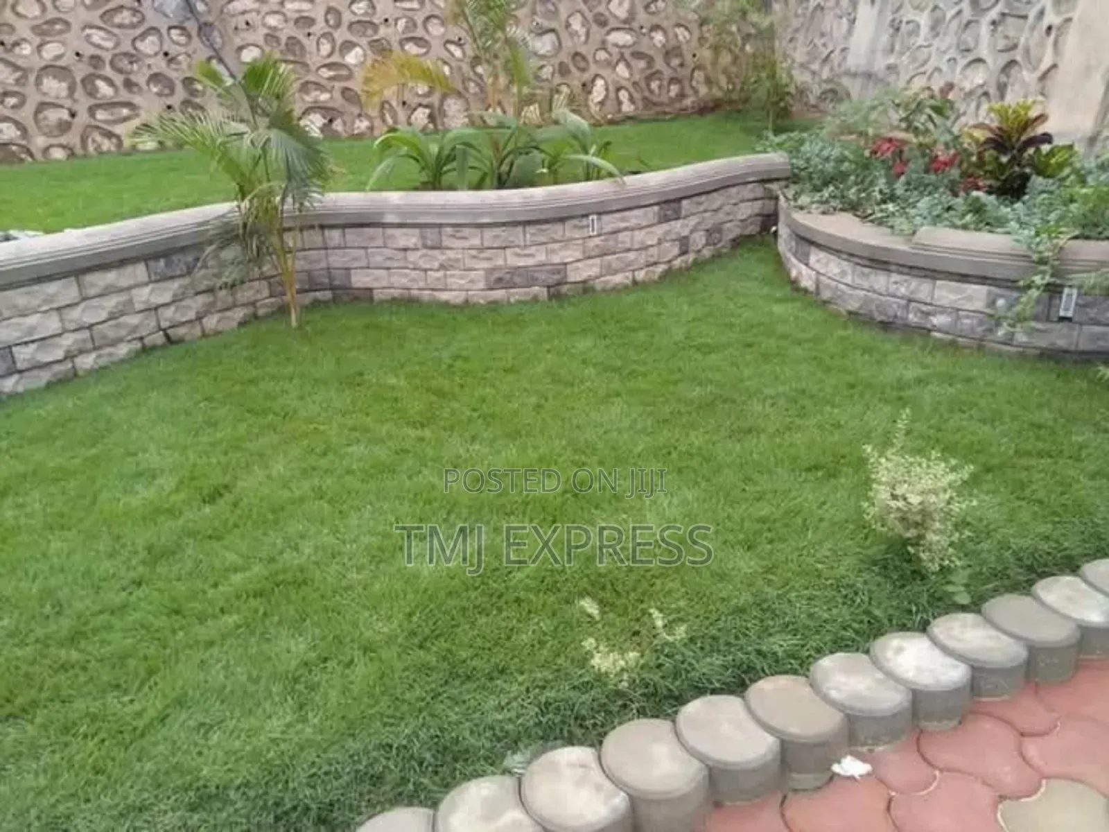 Hybrid Natural Carpet Grass-50kg Sack