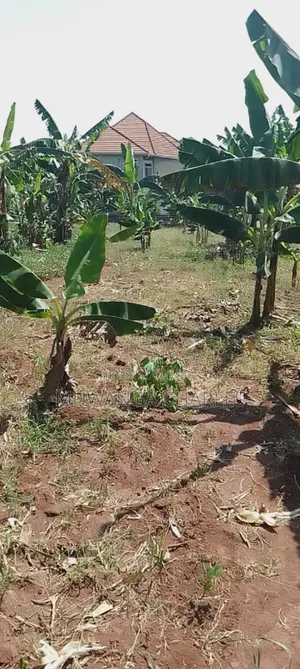 Plot for Sale in Kasangati Nangabo