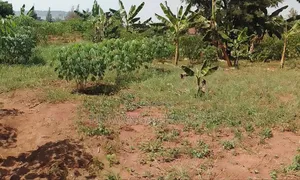 Plot for Sale in Kasangati Nangabo