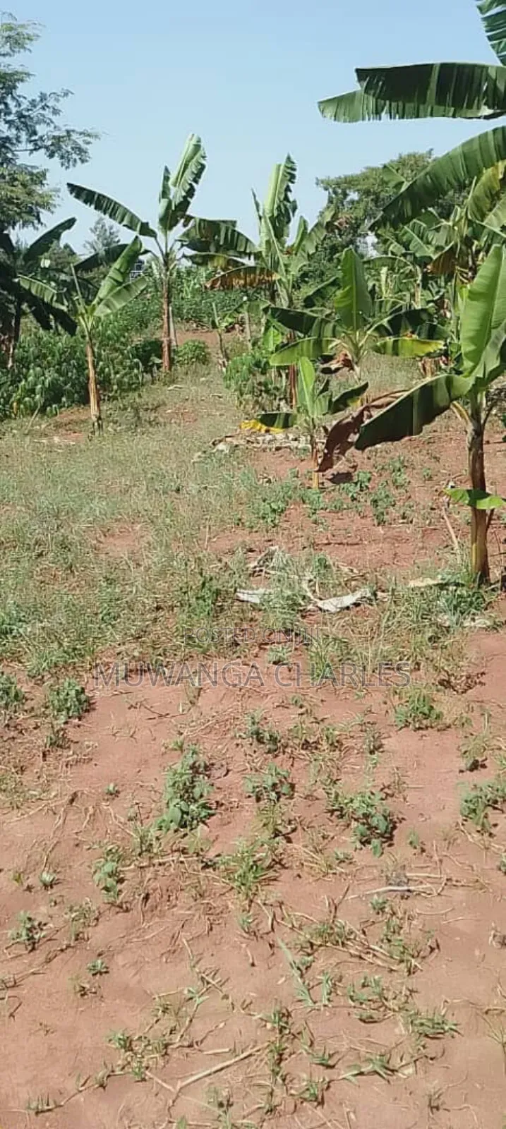 Plot for Sale in Kasangati Nangabo