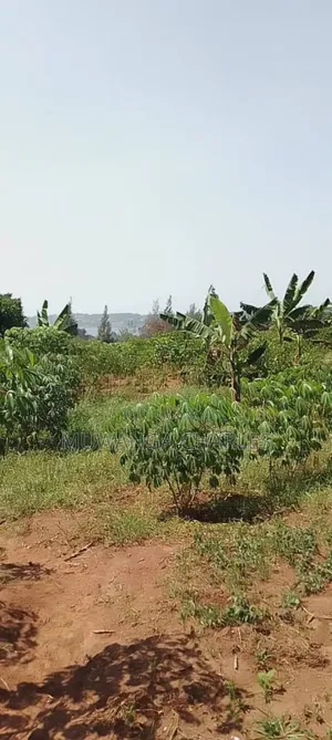 Plot for Sale in Kasangati Nangabo