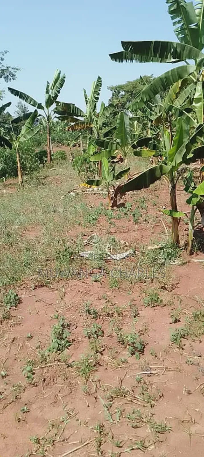 Plot for Sale in Kasangati Nangabo