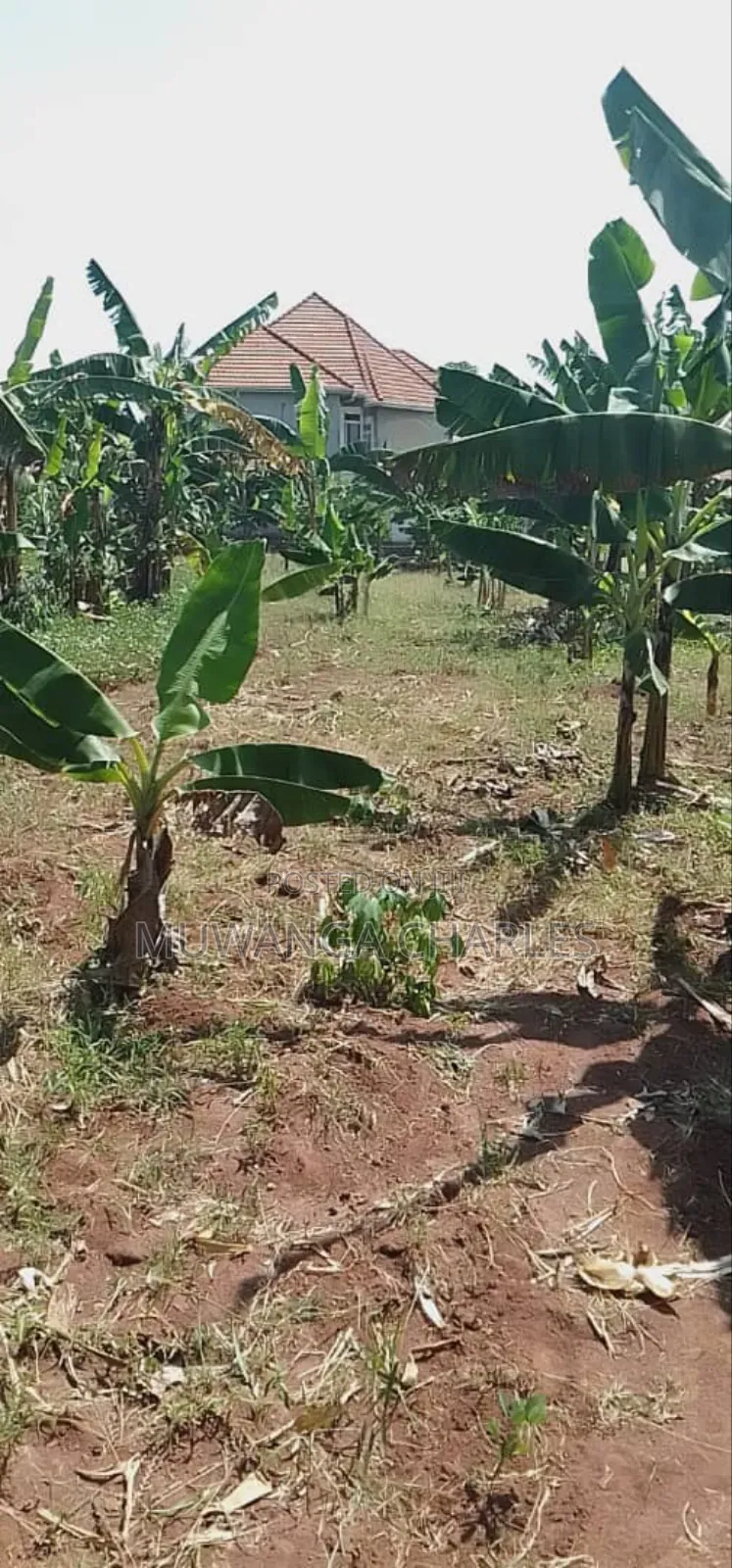 Plot for Sale in Kasangati Nangabo