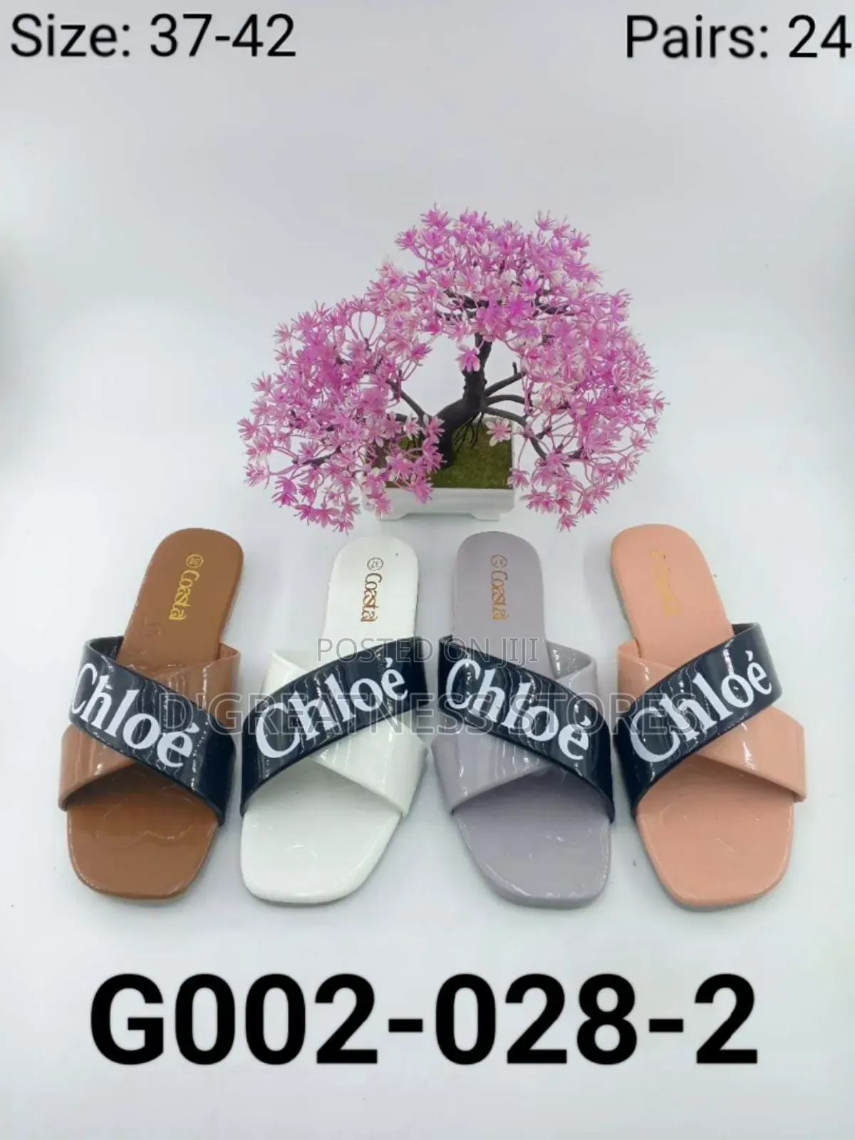 Laddies Fashionable Shoes
