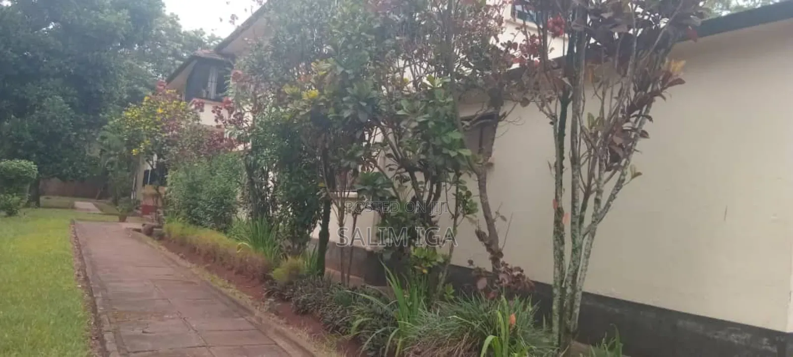 Office Building On Rent