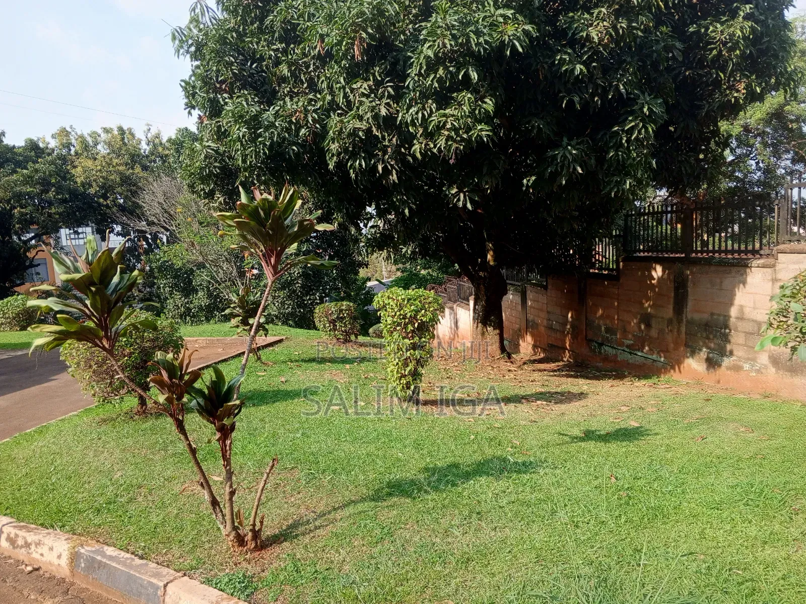 3bdrm Bungalow in Kololo Property, Central Division for rent