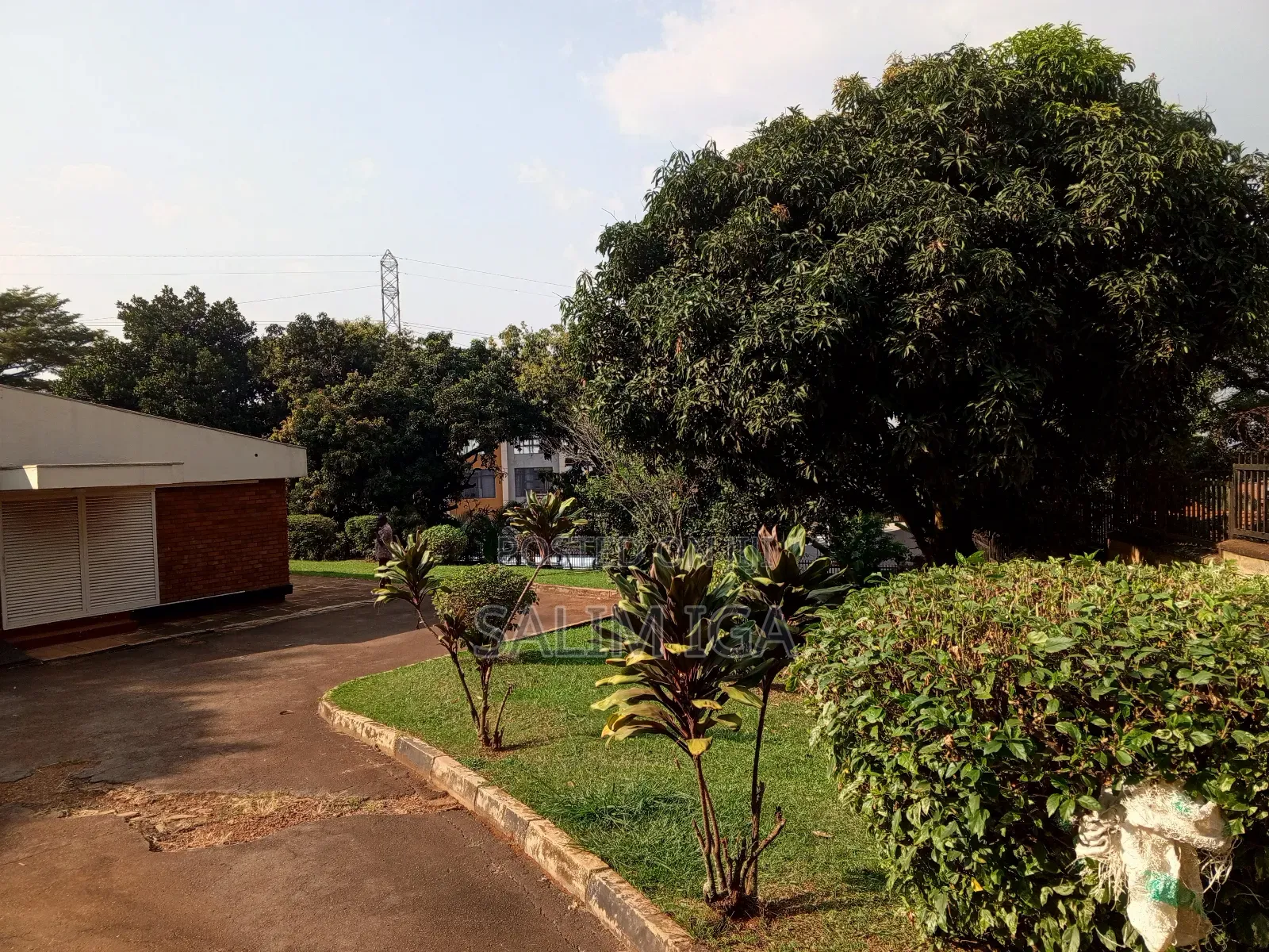 3bdrm Bungalow in Kololo Property, Central Division for rent