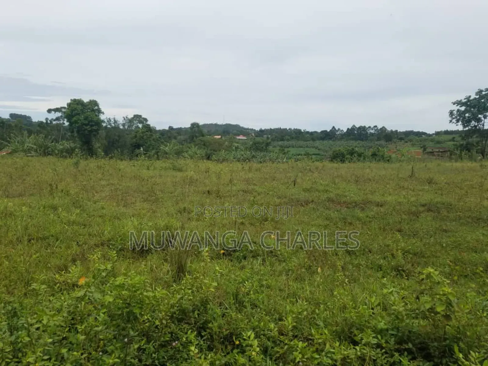 Land for Sale in Kakoge Luwero