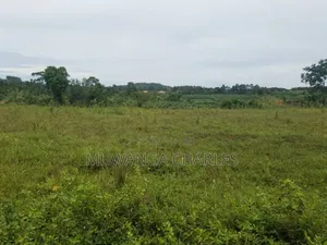Land for Sale in Kakoge Luwero