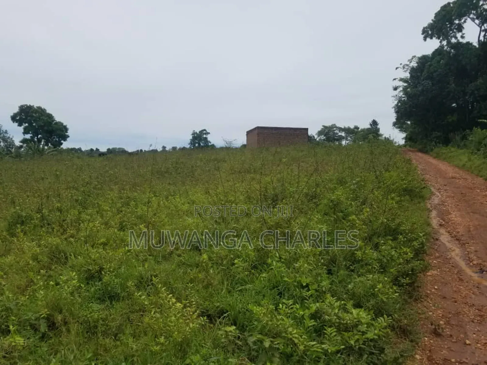 Land for Sale in Kakoge Luwero