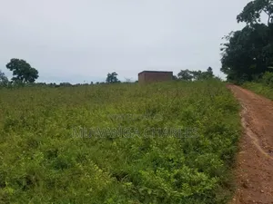 Land for Sale in Kakoge Luwero