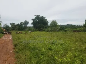 Land for Sale in Kakoge Luwero