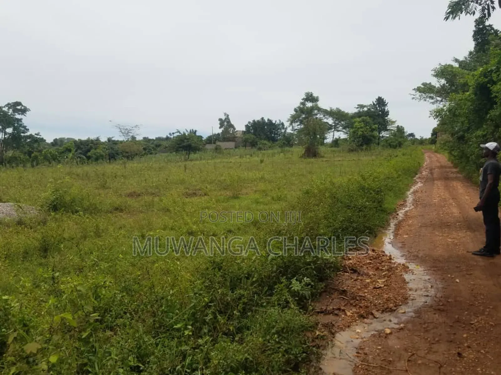 Land for Sale in Kakoge Luwero