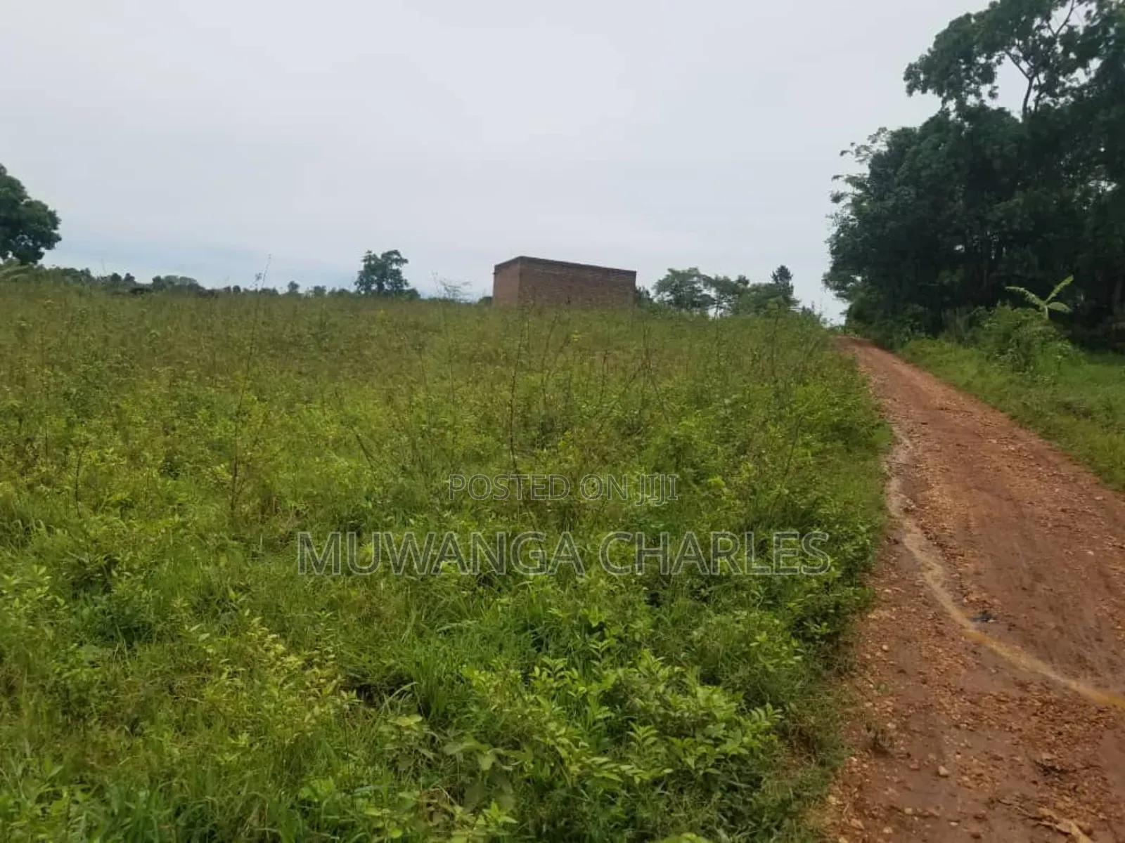 Land for Sale in Kakoge Luwero