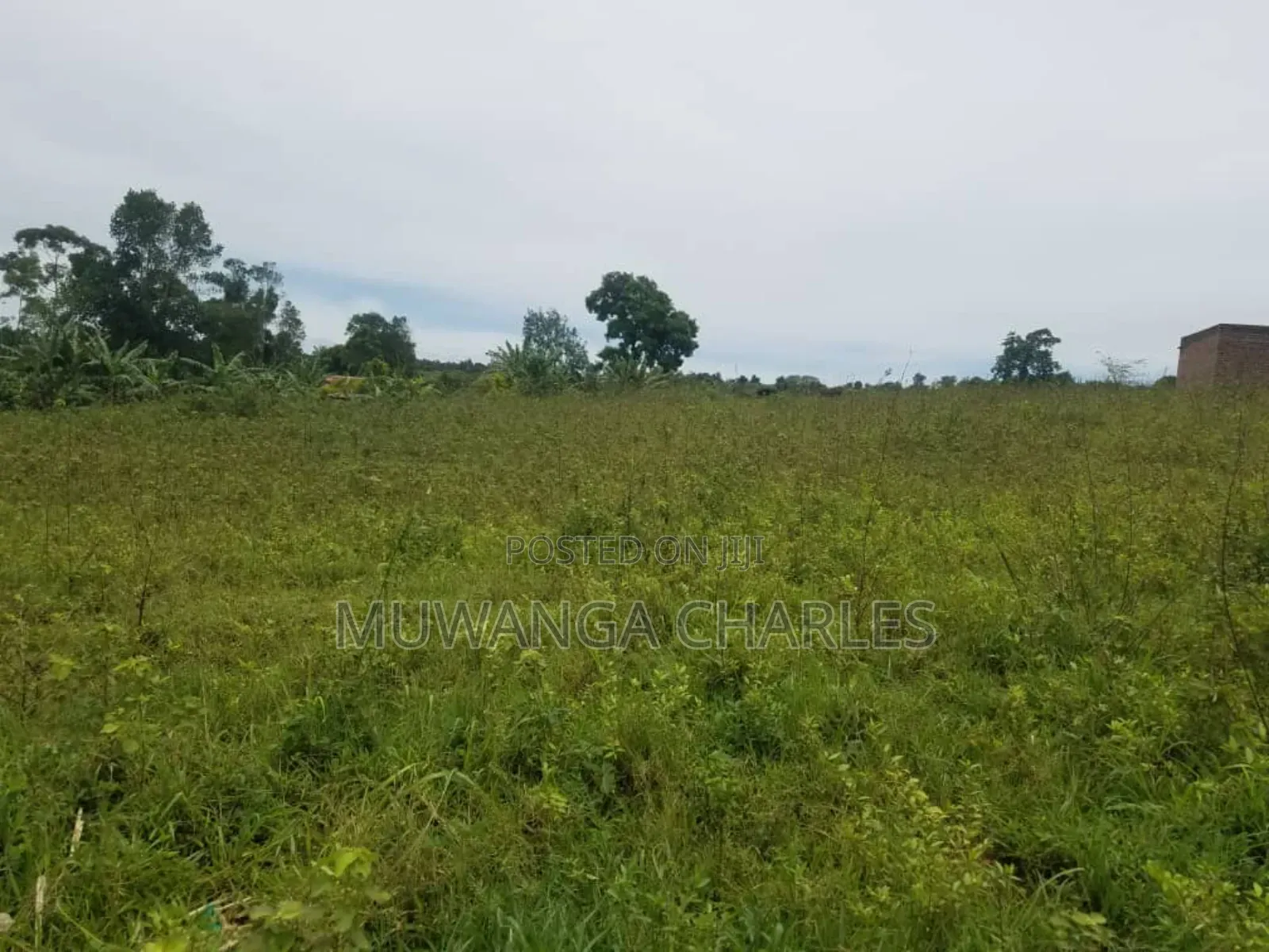 Land for Sale in Kakoge Luwero