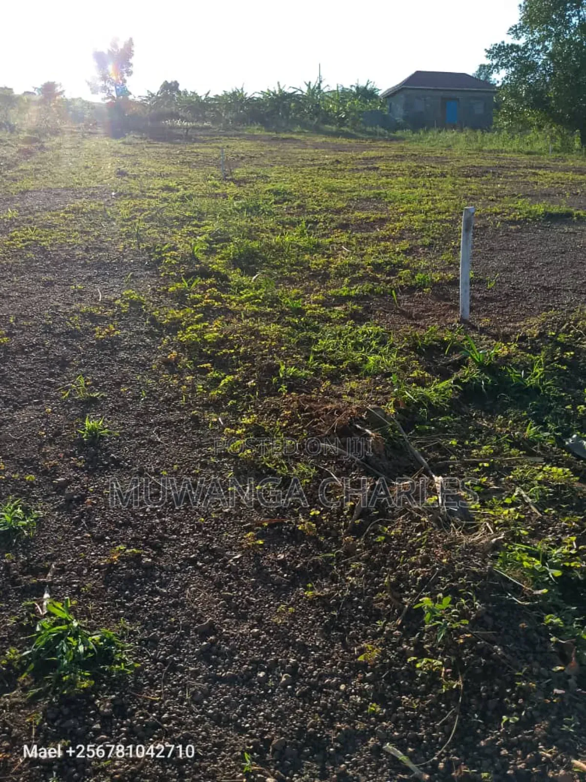 Plot's for Sale in Mpigi