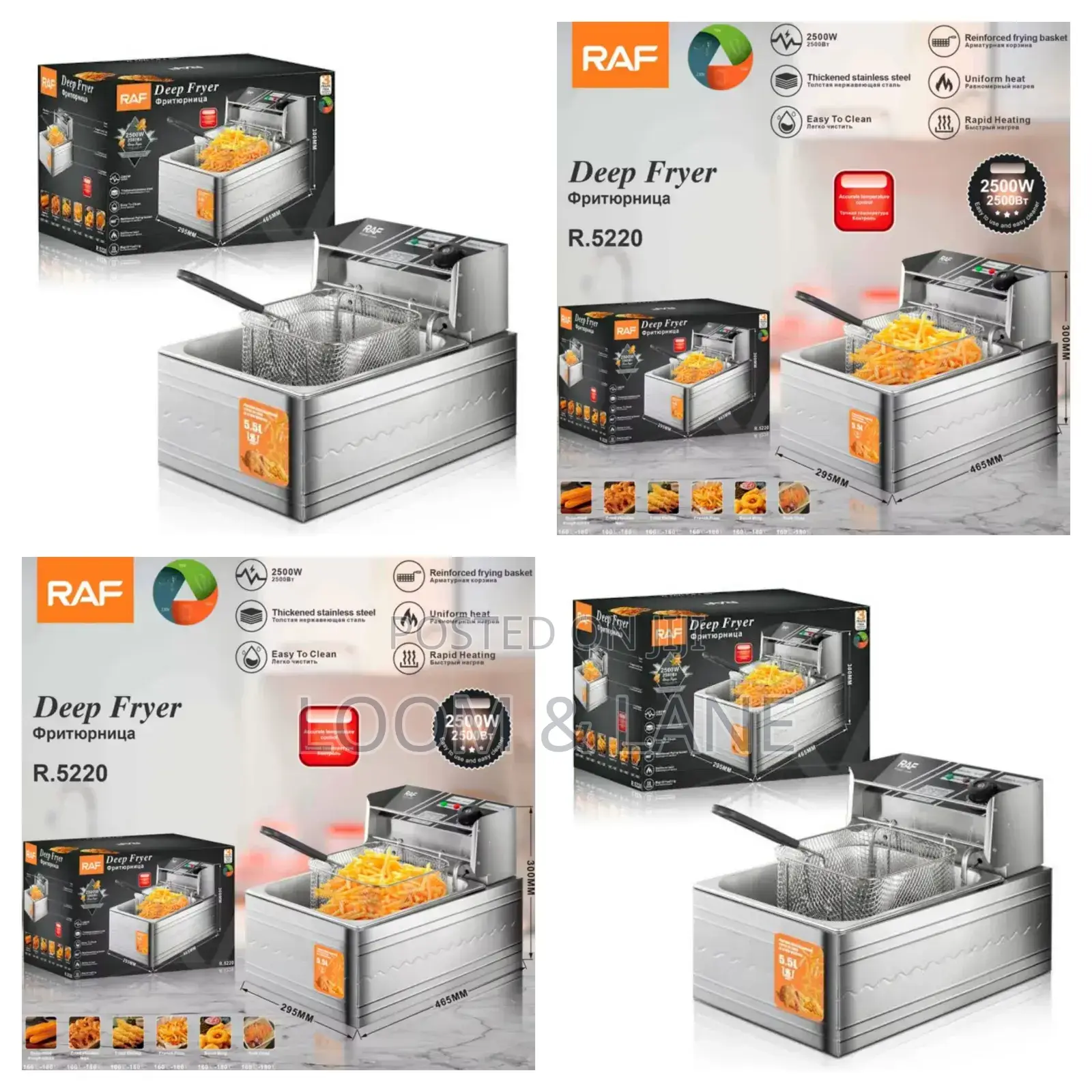 Raf Deep Fryer R.5220