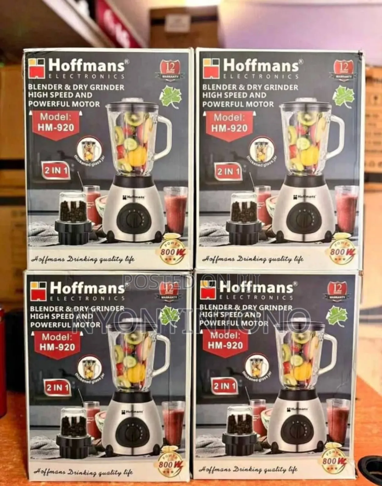 Hoffmans 2 in 1 High Quality Glass Blender
