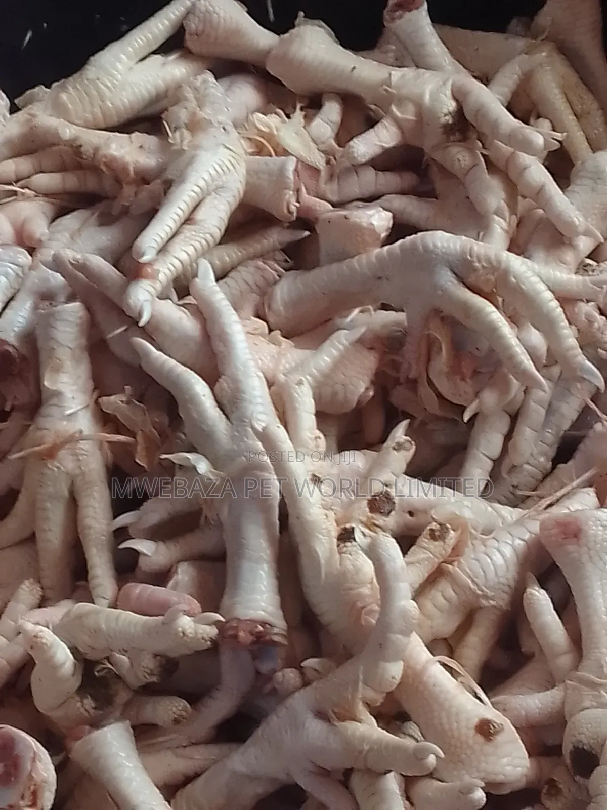 Chicken Legs