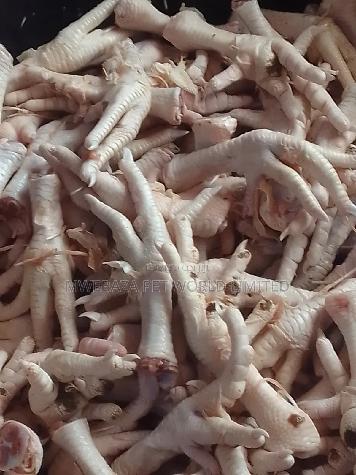 Chicken Legs
